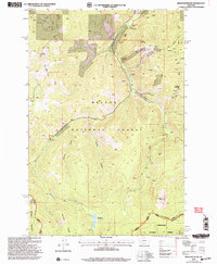 Download a high-resolution, GPS-compatible USGS topo map for Bison Mountain, MT (2004 edition)