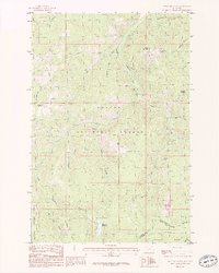 Download a high-resolution, GPS-compatible USGS topo map for Bison Mountain, MT (1986 edition)