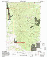 Download a high-resolution, GPS-compatible USGS topo map for Black Pine Ridge, MT (1998 edition)