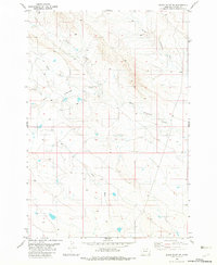 Download a high-resolution, GPS-compatible USGS topo map for Black Point NE, MT (1982 edition)