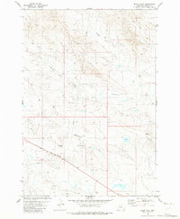 Download a high-resolution, GPS-compatible USGS topo map for Black Point, MT (1982 edition)