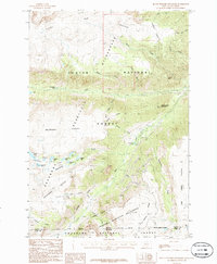 Download a high-resolution, GPS-compatible USGS topo map for Black Pyramid Mountain, MT (1986 edition)