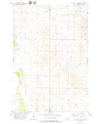 Download a high-resolution, GPS-compatible USGS topo map for Blacktail Creek NW, MT (1979 edition)