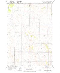 Download a high-resolution, GPS-compatible USGS topo map for Blacktail Creek SW, MT (1979 edition)