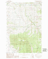 Download a high-resolution, GPS-compatible USGS topo map for Blacktail Mountain, MT (1986 edition)