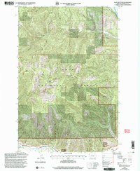 Download a high-resolution, GPS-compatible USGS topo map for Blue Mountain, MT (2003 edition)