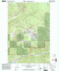 Download a high-resolution, GPS-compatible USGS topo map for Blue Point, MT (2003 edition)