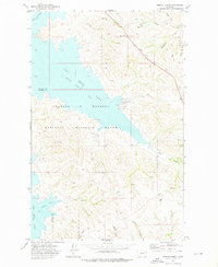 Download a high-resolution, GPS-compatible USGS topo map for Bobcat Creek, MT (1976 edition)