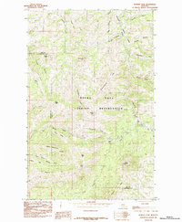 preview thumbnail of historical topo map of Hill County, MT in 1984