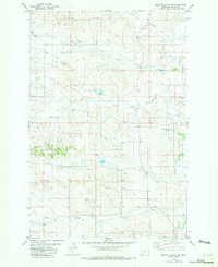 Download a high-resolution, GPS-compatible USGS topo map for Bracket Butte SE, MT (1981 edition)