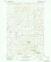 Download a high-resolution, GPS-compatible USGS topo map for Bracket Butte, MT (1981 edition)