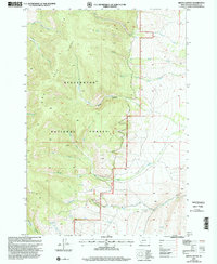 Download a high-resolution, GPS-compatible USGS topo map for Brays Canyon, MT (2002 edition)