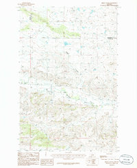 Download a high-resolution, GPS-compatible USGS topo map for Briggs Coulee, MT (1986 edition)