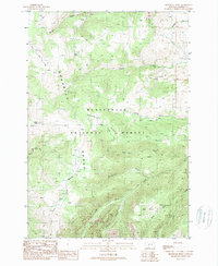 Download a high-resolution, GPS-compatible USGS topo map for Broomtail Ridge, MT (1989 edition)