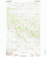 Download a high-resolution, GPS-compatible USGS topo map for Brown Spring, MT (1985 edition)