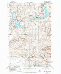 1946 Map of Brush Lake, 1985 Print