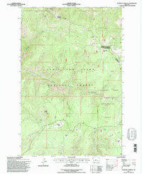 Download a high-resolution, GPS-compatible USGS topo map for Bubbling Springs, MT (1997 edition)