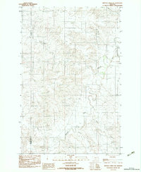 Download a high-resolution, GPS-compatible USGS topo map for Buffalo Creek NE, MT (1983 edition)
