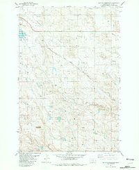 Download a high-resolution, GPS-compatible USGS topo map for Buffalo Reservoir, MT (1981 edition)