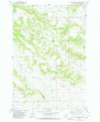 Download a high-resolution, GPS-compatible USGS topo map for Bull Mountain NW, MT (1980 edition)