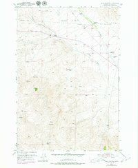 Download a high-resolution, GPS-compatible USGS topo map for Burns Mountain, MT (1979 edition)