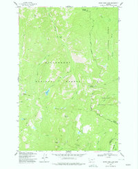 Download a high-resolution, GPS-compatible USGS topo map for Burnt Fork Lake, MT (1977 edition)