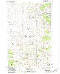 Download a high-resolution, GPS-compatible USGS topo map for Camas Prairie, MT (1984 edition)