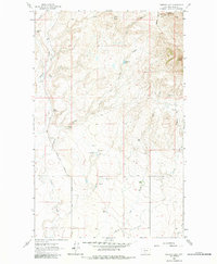 Download a high-resolution, GPS-compatible USGS topo map for Cameron Lake, MT (1984 edition)