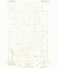 Download a high-resolution, GPS-compatible USGS topo map for Cameron Point, MT (1976 edition)