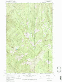 Download a high-resolution, GPS-compatible USGS topo map for Canuck Peak, MT (1979 edition)