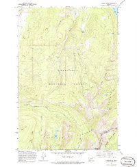 Download a high-resolution, GPS-compatible USGS topo map for Carpp Ridge, MT (1986 edition)