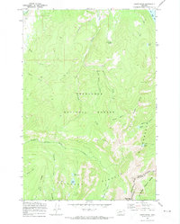 preview thumbnail of historical topo map of Granite County, MT in 1971