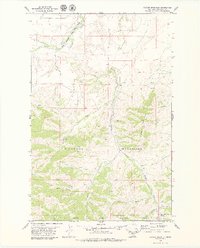 Download a high-resolution, GPS-compatible USGS topo map for Carter Mountain, MT (1979 edition)
