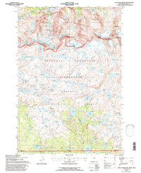 preview thumbnail of historical topo map of Carbon County, MT in 1991