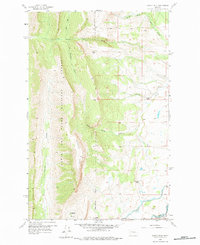 Download a high-resolution, GPS-compatible USGS topo map for Castle Reef, MT (1975 edition)
