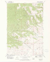 Download a high-resolution, GPS-compatible USGS topo map for Castle Town, MT (1975 edition)