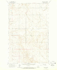 Download a high-resolution, GPS-compatible USGS topo map for Chester NW, MT (1966 edition)