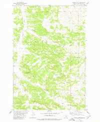 Download a high-resolution, GPS-compatible USGS topo map for Chimney Butte, MT (1980 edition)