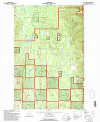 Download a high-resolution, GPS-compatible USGS topo map for Cilly Creek, MT (1996 edition)