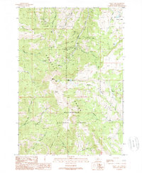 Download a high-resolution, GPS-compatible USGS topo map for Cirque Lake, MT (1989 edition)