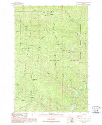 preview thumbnail of historical topo map of Granite County, MT in 1989
