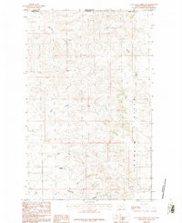 Download a high-resolution, GPS-compatible USGS topo map for Coal Mine Creek East, MT (1984 edition)