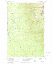 Download a high-resolution, GPS-compatible USGS topo map for Condon, MT (1986 edition)