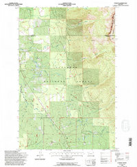 Download a high-resolution, GPS-compatible USGS topo map for Condon, MT (1996 edition)