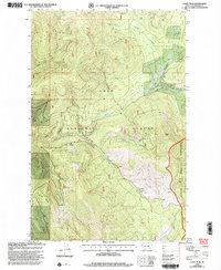Download a high-resolution, GPS-compatible USGS topo map for Coney Peak, MT (2003 edition)