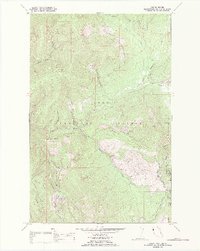Download a high-resolution, GPS-compatible USGS topo map for Coney Peak, MT (1989 edition)