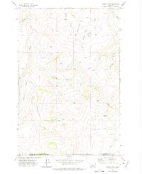 Download a high-resolution, GPS-compatible USGS topo map for Conway Ridge, MT (1975 edition)