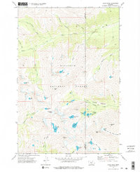 Download a high-resolution, GPS-compatible USGS topo map for Crazy Peak, MT (1976 edition)