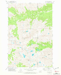 Download a high-resolution, GPS-compatible USGS topo map for Crazy Peak, MT (1976 edition)