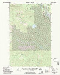 Download a high-resolution, GPS-compatible USGS topo map for Cyclone Lake, MT (1997 edition)